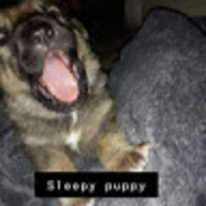 Meet your Posher, Foxlife57